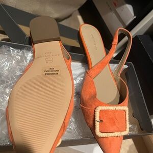 Tropical coral flats